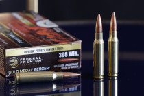 308 Winchester - 42TČen