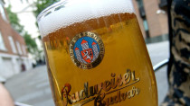 Pivo - 42TČen