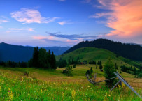 Bukovina - 42TČen
