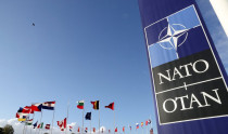NATO - 42TČen