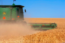 Wheat-Field-E.jpg - 42TČen